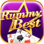 rummy central icon